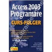 ACCES 2003. Programare - curs fulger