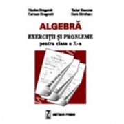Algebră - exerciţii şi probleme pentru clasa a X-a