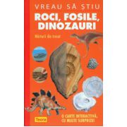 Roci, fosile,dinozauri