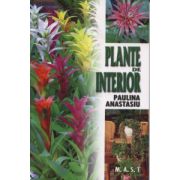Plante De Interior