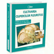 Cultivarea ciupercilor Pleurotus