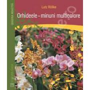 Orhideele - minuni multicolore