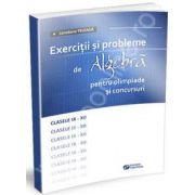 Exercitii si probleme de algebra pentru olimpiade si concursuri, clasele IX-XII
