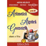 Aritmetica, algebra si geometrie pentru clasa a VI-a (Auxiliar)