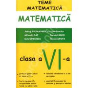 Matematica pentru clasa a VI-a, teme de matematica (Petrus Alexandru)