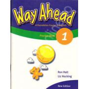 Way Ahead 1 Grammar Practice Book