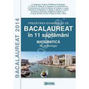 Bacalaureat 2014 in 11 de saptamani (Matematica - M_tehnologic)