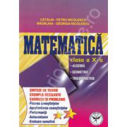 Matematica clasa a X-a. Algebra, geometrie, trigonometrie (Sinteze de teorie exercitii si probleme)