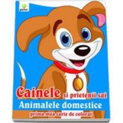 Cainele si prietenii sai animalele domestice (Prima mea carte de colorat)