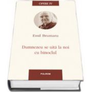 Emil Brumaru - Opere IV. Dumnezeu se uita la noi cu binoclul - Prefata de Ioana Parvulescu