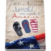 Brizu Silviu, Jurnalul unui roman in America