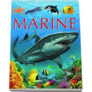 Emilie Beaumont, Animale marine pe intelesul copiilor - Enciclopedia animalelor in imagini - Editie cartonata
