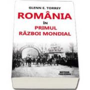 Glenn E. Torrey, Romania in Primul Razboi Mondial