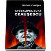 Sergiu Somesan, Apocalipsa dupa Ceausescu
