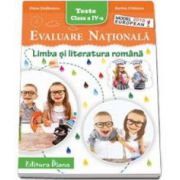 Elena Stefanescu, Evaluare Nationala - Limba si literatura romana, pentru clasa a IV-a