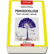 Psihosociologie. Teorii, cercetari, aplicatii