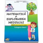 Matematica si explorarea mediului culegere pentru clasa I (Valentina Stefanescu Caradeanu)