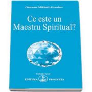 Ce este un maestru spiritual? - Omraam Mikhael Aivanhov