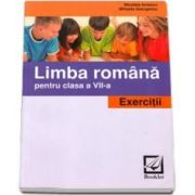 Limba Romana pentru clasa a VII-a. Exercitii - Nicoleta Ionescu si Mihaela Georgescu