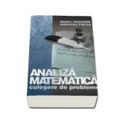 Analiza matematica - culegere de probleme (editie revizuita)