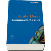 Anita Desai, Lumina clara a zilei