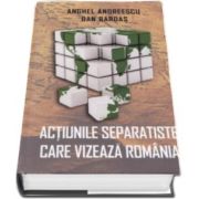 Anghel Andreescu, Actiunile separatiste care vizeaza Romania