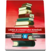 Limba si literatura romana caiet de Antrenament si Aprofundare clasa a VI-a (Mihaiela Cota-Marginean)