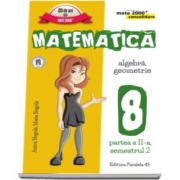 Matematica - CONSOLIDARE (2016 - 2017 ) Algebra si Geometrie, pentru clasa a VIII-a. Partea II, semestrul II (Colectia mate 2000+)