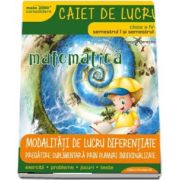 MATE 2000 - CONSOLIDARE. Matematica, caiet de lucru, pentru clasa IV. Modalitati de lucru diferentiate, pregatire suplimentara prin planuri individualizate - Semestrele I si II