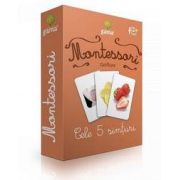 Cele 5 simturi - Montessori clasificare de Maria Montessori