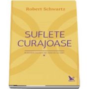 Suflete curajoase. Ne planificam incercarile vietii, inainte de a ne naste? de Robert Schwartz