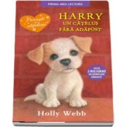 Harry, un catelus fara adapost de Holly Webb