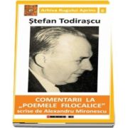 Comentarii la - Poemele filocalice - scrise de Alexandru Mironescu de Stefan Todirascu