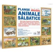 Animale salbatice - MAPA - setul contine 10 planse format A3