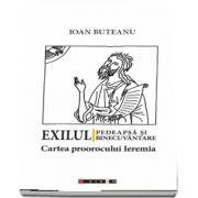 Exilul - pedeapsa si binecuvantare. Cartea proorocului Ieremia de Ioan Buteanu