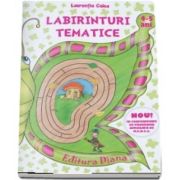 Labirinturi tematice pentru 4-5 ani (Laurentia Culea)