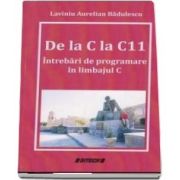De la C la C11. Intrebari de programare in limbajul C de Lavinia Aurelian Badulescu