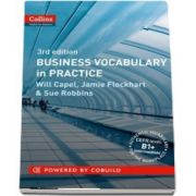 Business Vocabulary in Practice: B1-B2