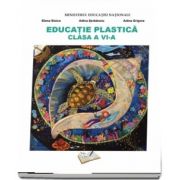 Manual de educatie plastica pentru clasa a VI-a (Adina Grigore )