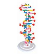 Structura moleculara a ADN-ului