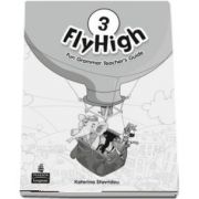 Fly High Level 3 Fun Grammar Teachers Guide