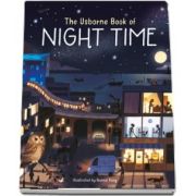 The Usborne book of night time