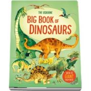 Big book of dinosaurs