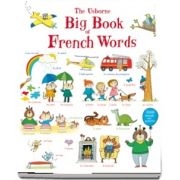 Big book of French words