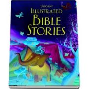 Illustrated bible stories