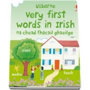 Very first words in Irish