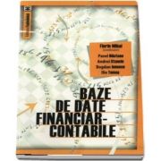 Baze de date financiar-contabile (Florin Mihai)