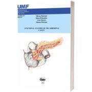 Functional anatomy of abdominal cavity