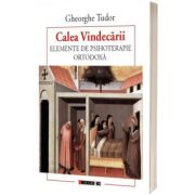 Calea Vindecarii - Elemente de psihoterapie ORTODOXA