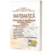 Matematica-Exercitii si probleme pentru clasa a VIII-a - Semestrul II